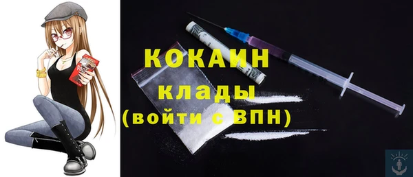 молекула духа Белоозёрский